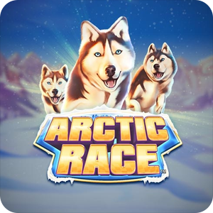 Arctic Race