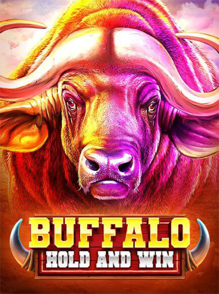 Buffalo Hold and Win