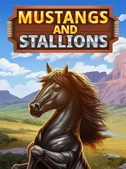 Mustangs and Stallions