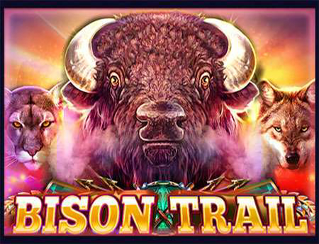 Bison Trail