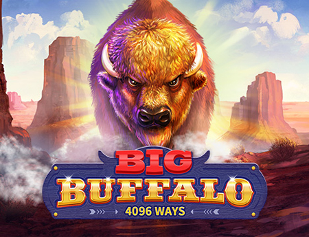 Big Buffalo