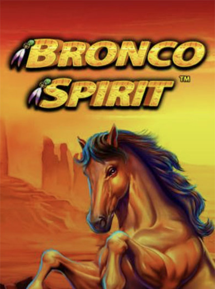 Bronco Spirit