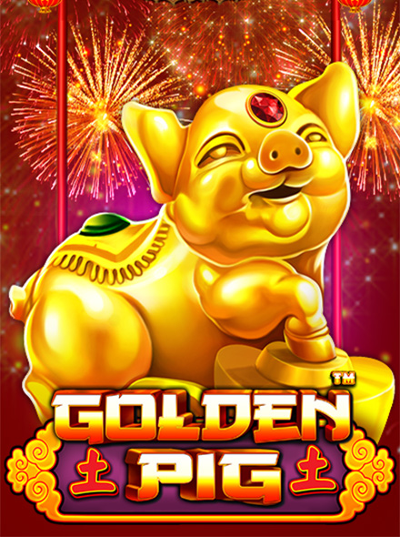 Golden Pig