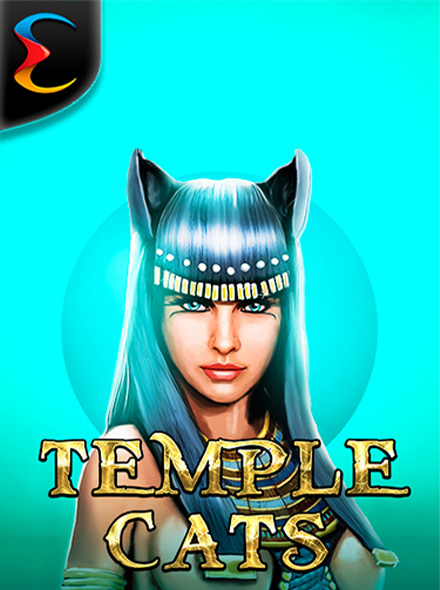 Temple Cats
