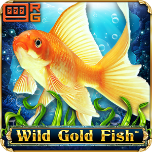 Wild Gold Fish