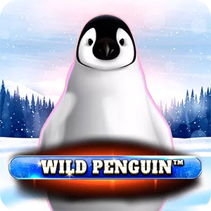 Wild Penguin