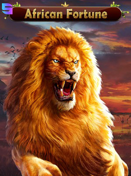 African Fortune
