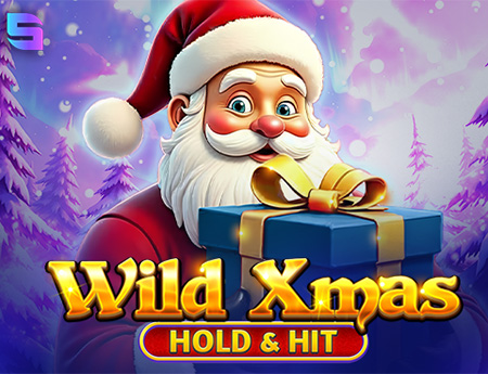 Wild Xmas -  Hold & Hit