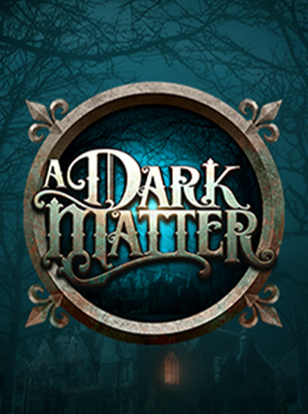 A Dark Matter