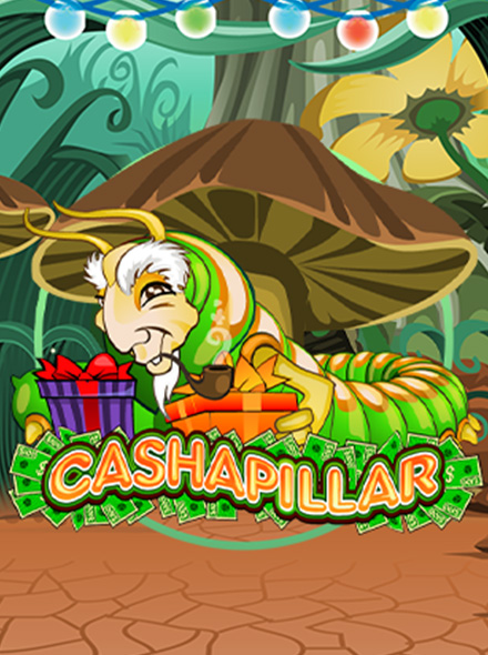 Cashapillar