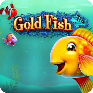 Gold Fish