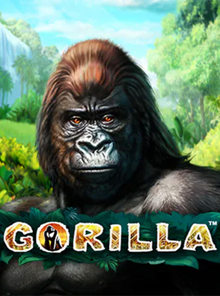 Gorilla