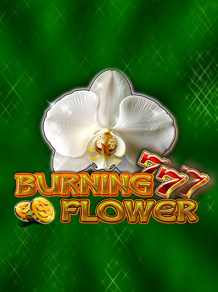 Burning Flower