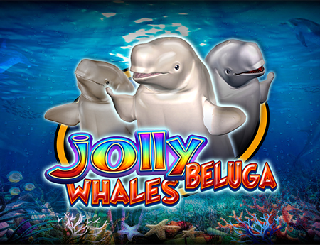 Jolly Beluga Whales