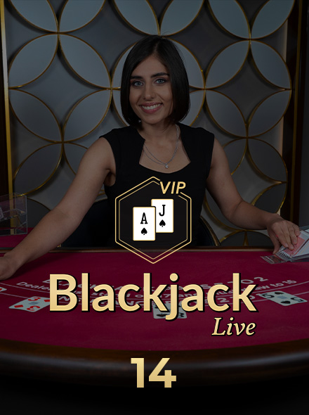Blackjack VIP 14