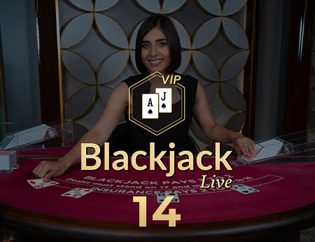 Blackjack VIP 14