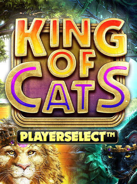 King of Cats