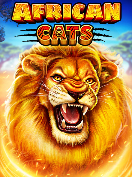 African Cats