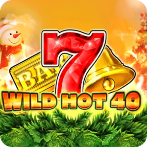 Wild Hot 40 Christmas
