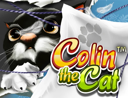 Colin The Cat